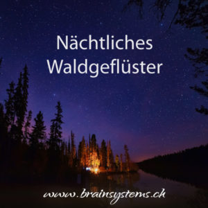 Nächtlichs Waldgeflüster